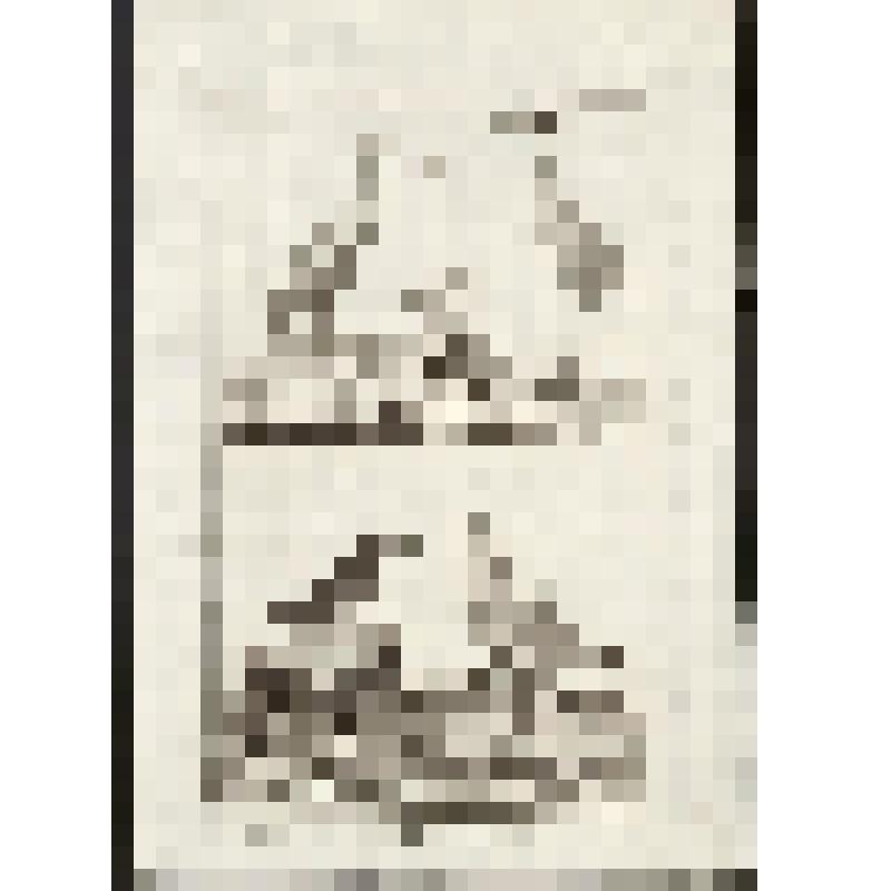 "Histoire Naturelle. Pl. X. Fig. 1. L'Ibis.Fig. 2. La Spatule. Fig.3. La de Mer. Fig.4. Le Grisard. Antonio Baratti sc. Гравюра