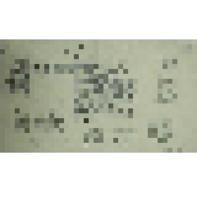 Орнамент. Прорисовки инициалов и заставок. Рисунок