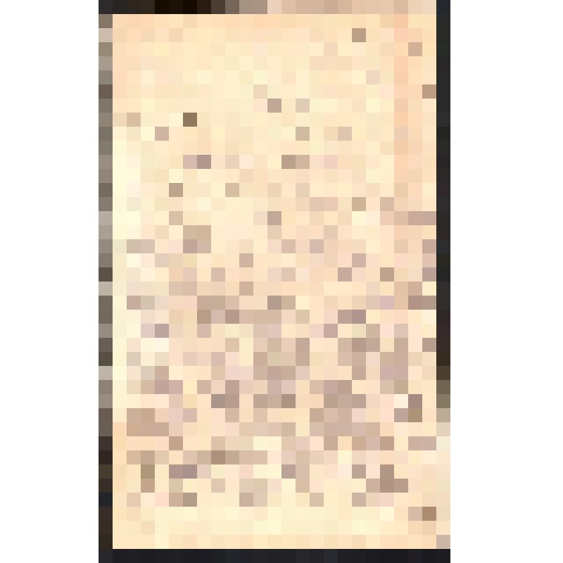 Сведения о похоронах тов. Фролова в 1905 году по воспоминаниям Р.Пирухалайшвили. 1929 г