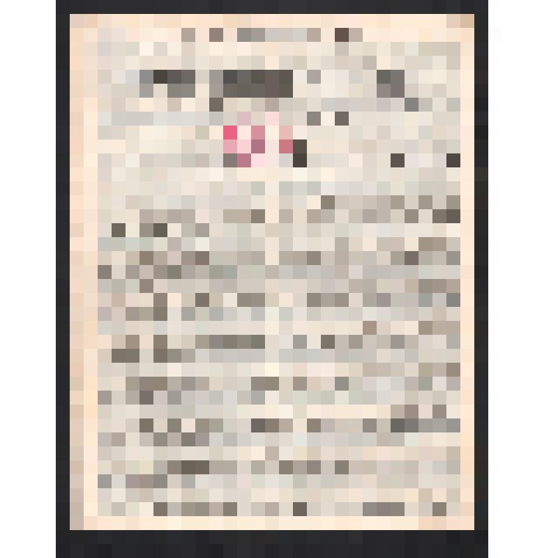 Газета "Революционная Россия" № 56, декабрь 1904 г