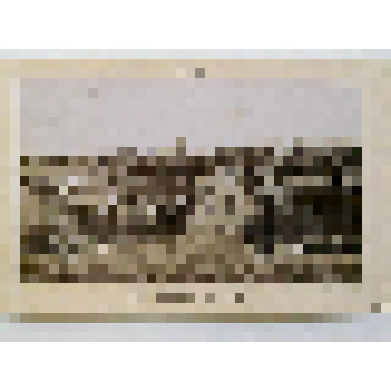 г. Киев. Вид от вокзала на город. из альбома. Издатель не указан