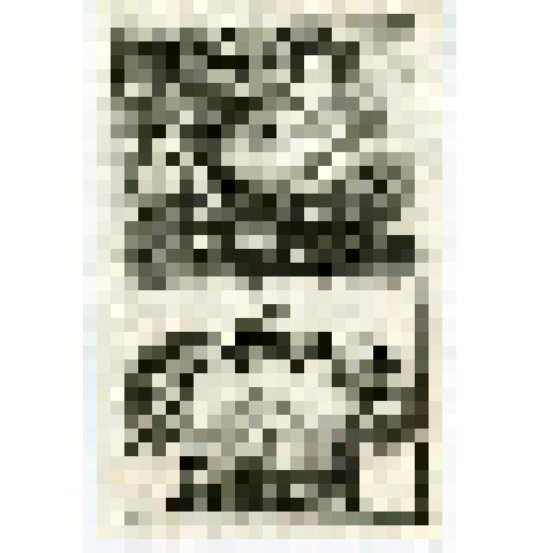 Офорт. Лист 126. Иллюстрации к Книге пророка Наума