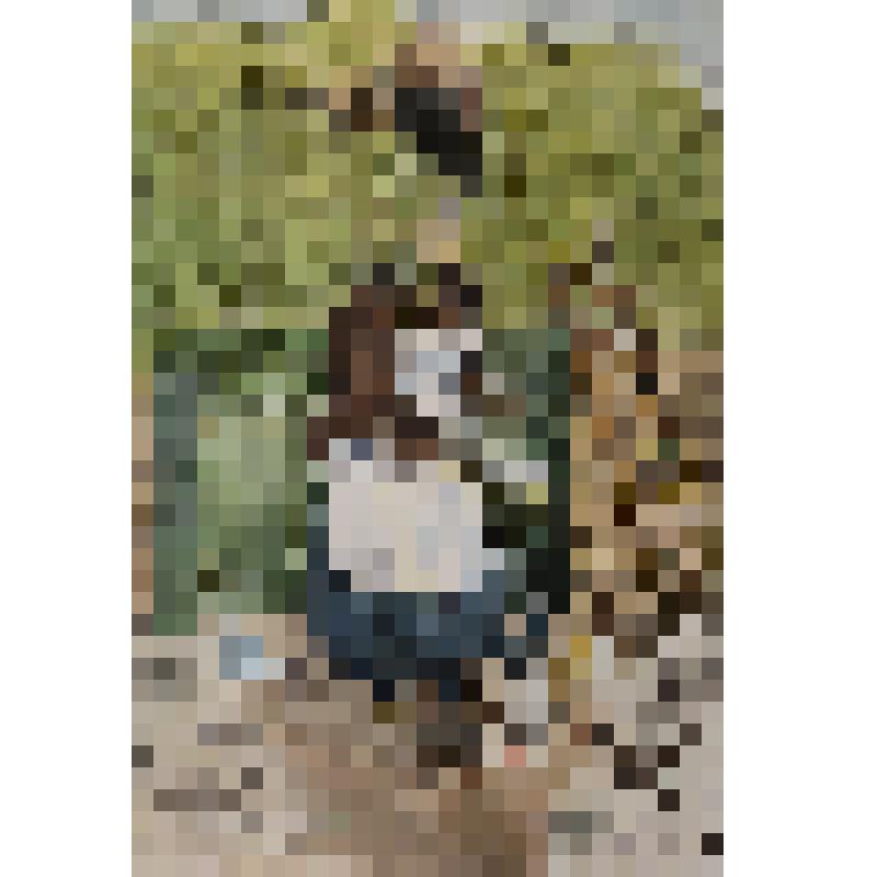 "Повседневная жизнь"