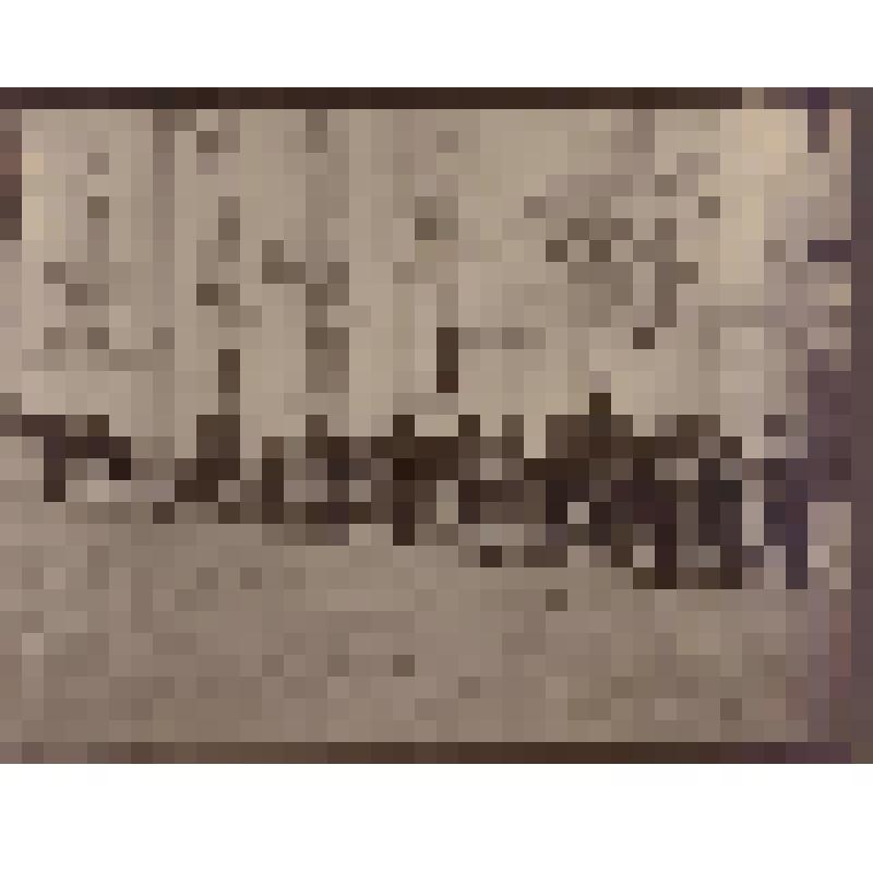 Фотография. Почтальоны Петергофской почтово-телеграфной конторы. Перевозка почты на велосипедах