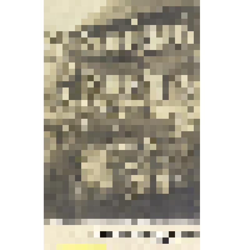 Фотоотпечаток. Колодец в карельской деревне. Карелы