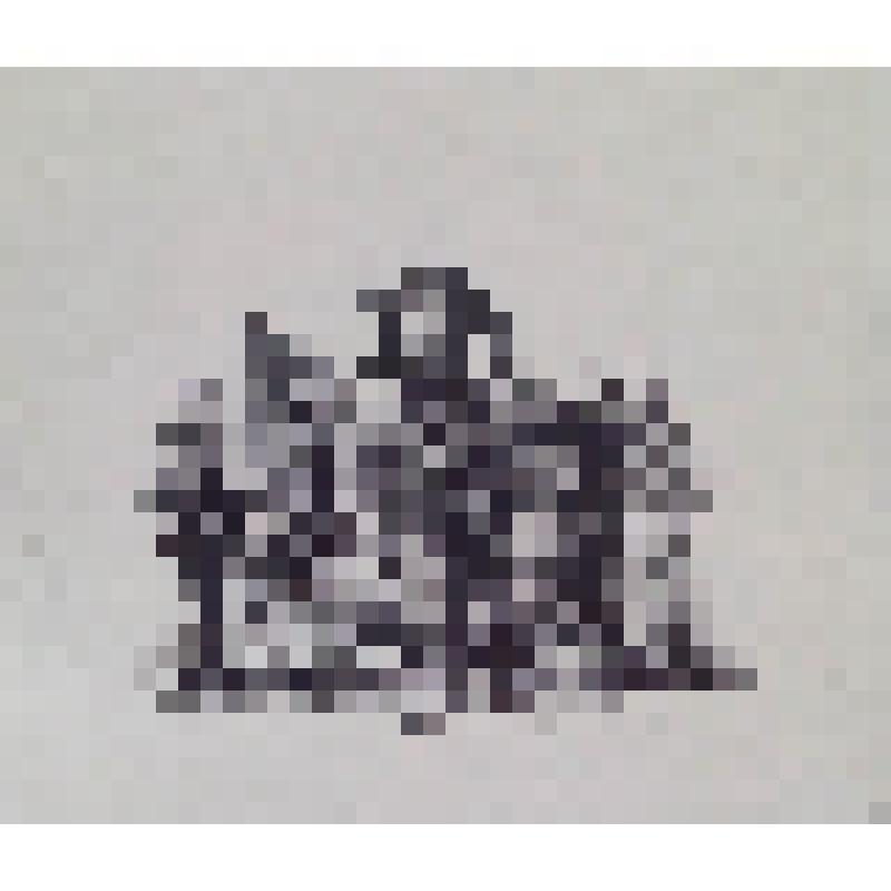 Графика печатная. Иллюстрация к роману М. Горького "Мать"