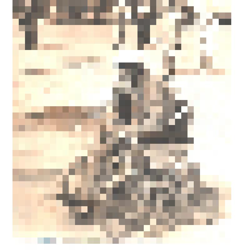 Инвалид-ветеран ВОВ