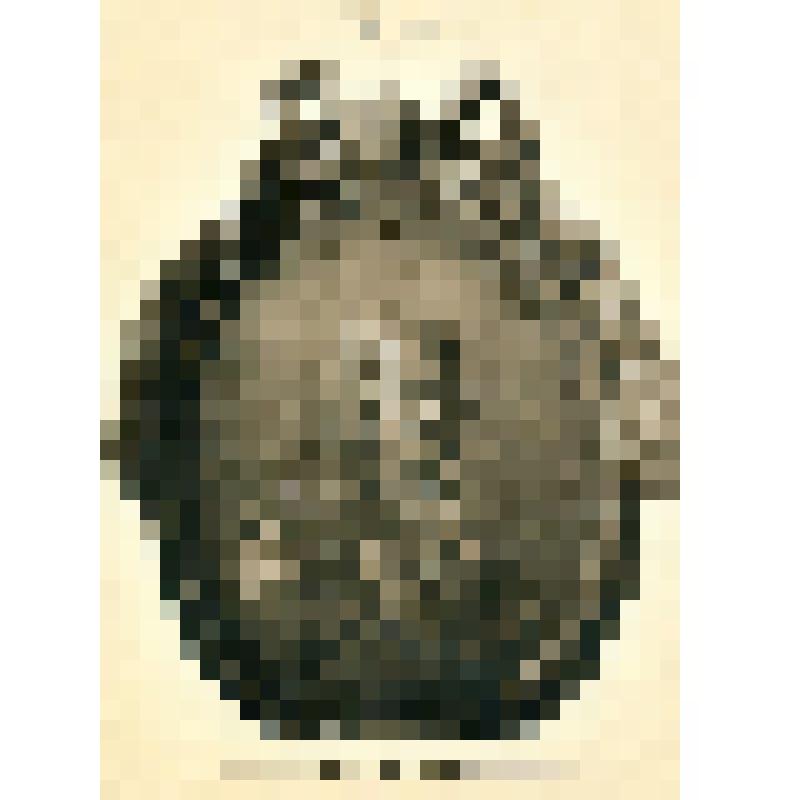 Открытка цветная. Барельеф. А.Н. Демидов (1678-1745)