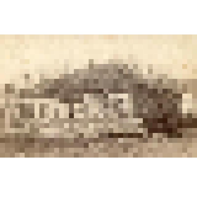 Фотография черно-белая на паспарту. Бывшее городское училище, рядом с бывшим домом купца