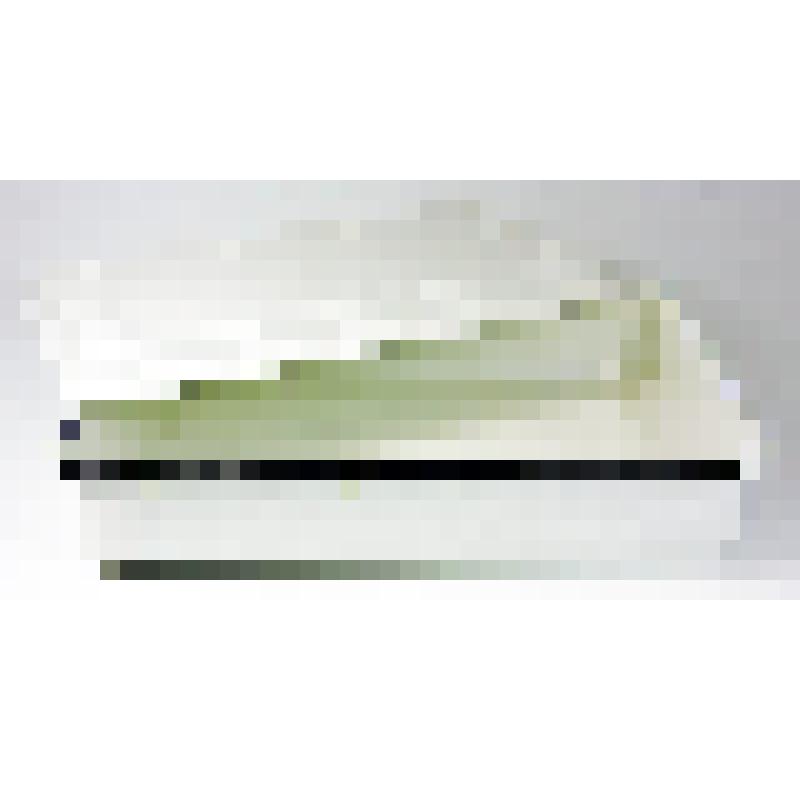 Лоток для заливного и холодца