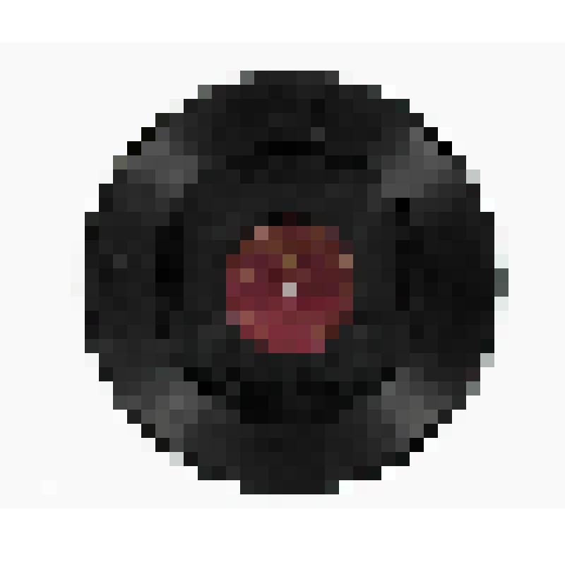 Грампластинка "Стихи в исполнении Р.Зеленой "Вот такой рассеянный", "Мой рисунок"