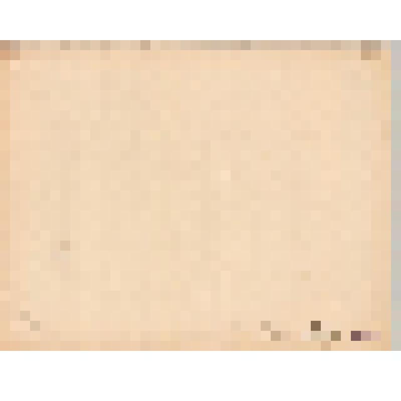 Литография. Решетка Михайловского дворца