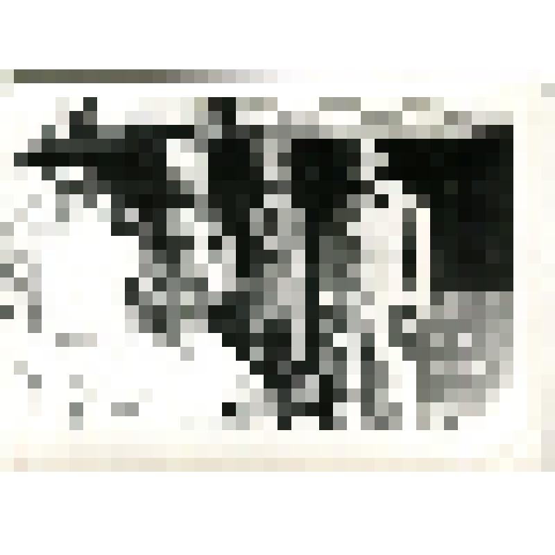 Капитан Карпов А.А. (крайний слева) на территории Афганистана с местным ополчением и своими сослуживцами