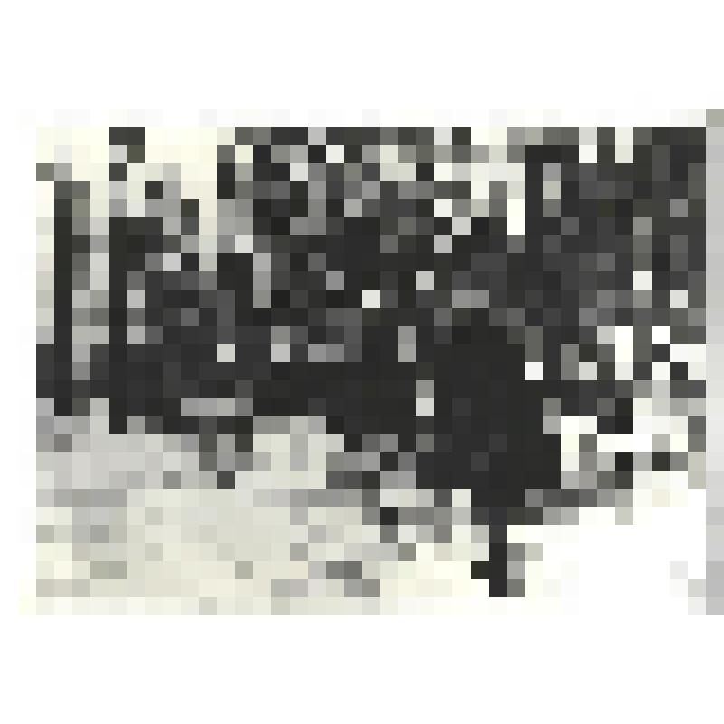 Фотографии. Фото ч/б. В разведку по тылам врага, декабрь 1941 г