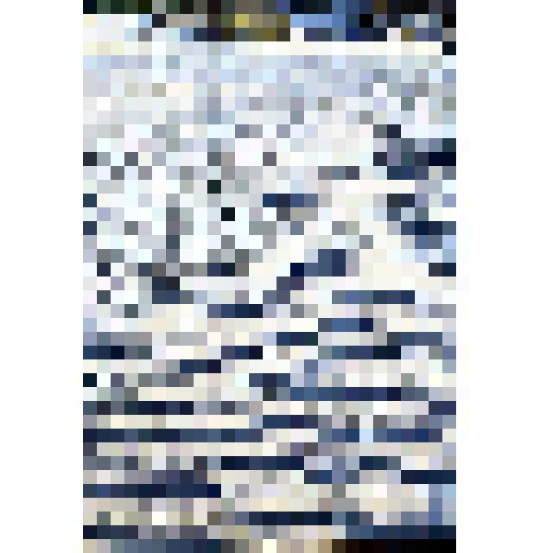 негатив. Песчаные микробарханчики на развеваемой преддюнной равнине