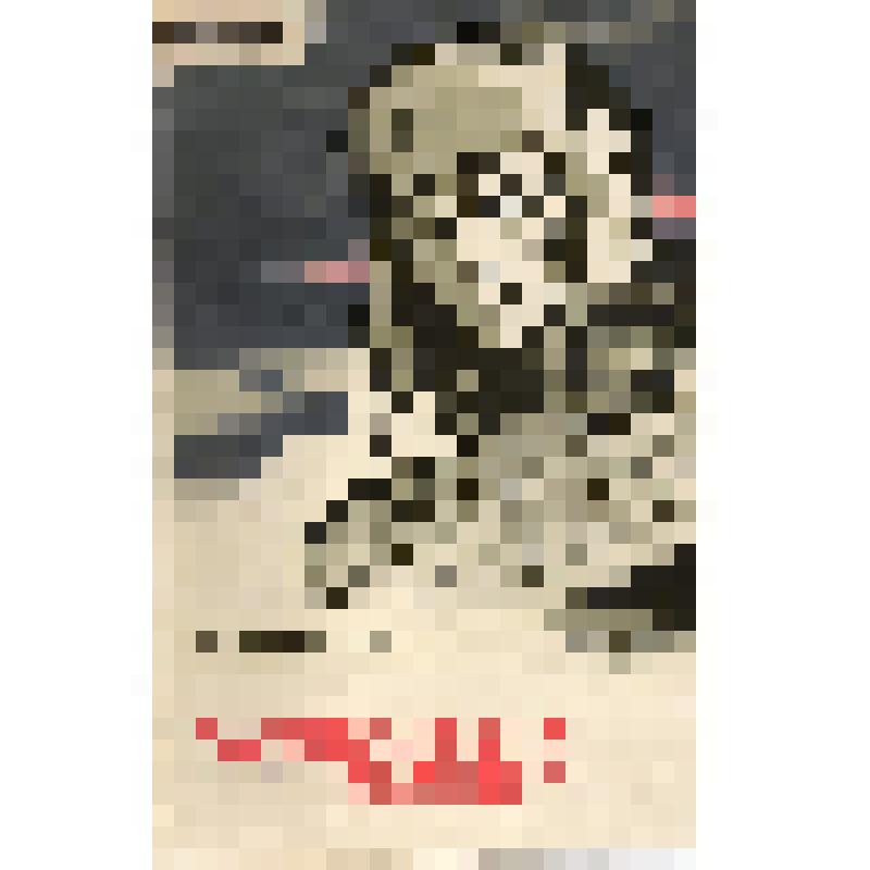 Книга. А.И.Подобед «Партизанский связной».
СССР, Москва, изд-во ДОСААФ СССР, 1980 г., 96 с