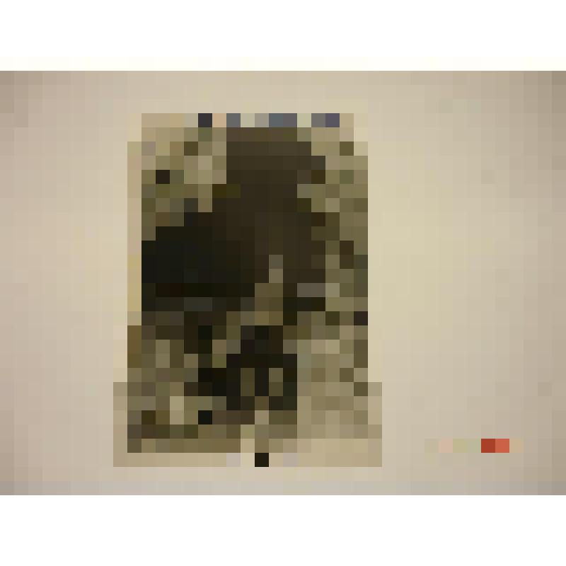 Обелиск Севера. 1930 г. Архангельск. Обелиск Севера. Дулин К; Алтухов И. Общий вид