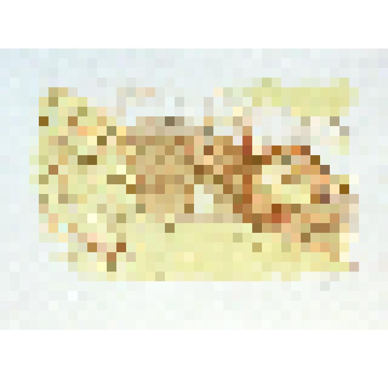 Греция. Микены
