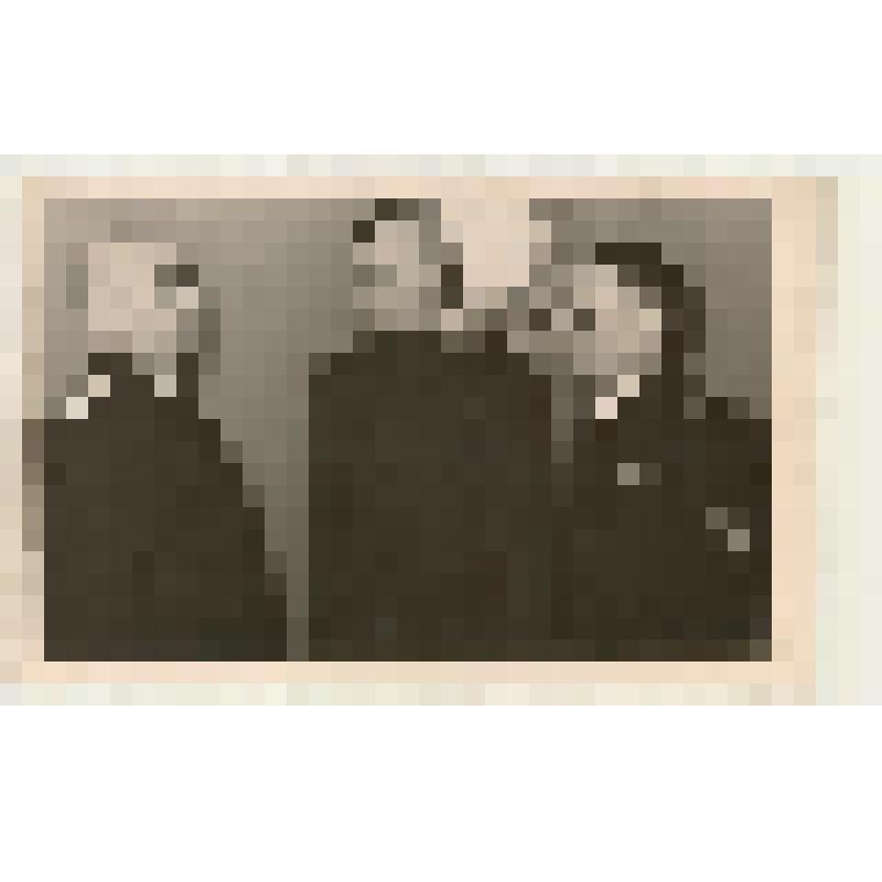 Фотография. ГСС контр-адмирал Колышкин встретился со своими сослуживцами подводниками мичманами Власовым и Ревесько