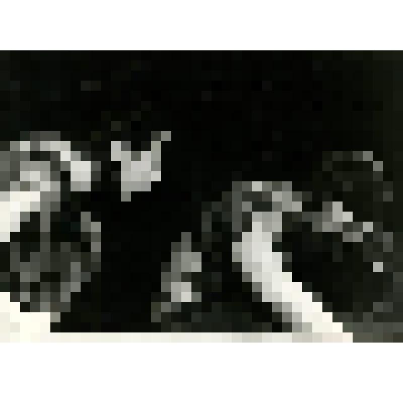 Фотография. Сцена. Ящерица - сидит на корточках, наклонившись вперед, рот открыт, в профиль, почти рост, левая рука - на коленях, на шее - бусы; - сидит, победренно, склонившись. "Детектив Каменного века" (пост. Е. Лазарев, худ. В. Вольский). Москва, Малы