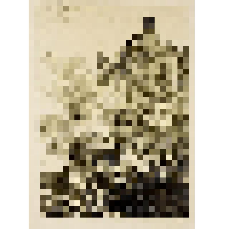 Бой на набережной