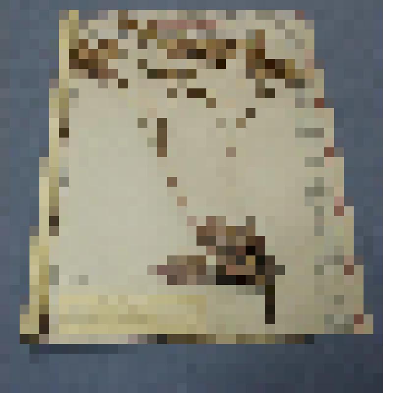 Ботаническая коллекция. Гониолимон красивый, на гербарном листе, Красноярский край, с.Каратуз,на склоне горы. Plumbaginaceae goniolimon speciasum