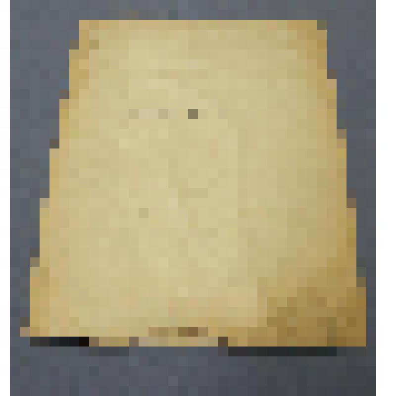 Ботаническая коллекция. Гониолимон красивый, на гербарном листе, Красноярский край, с.Каратуз,на склоне горы. Plumbaginaceae goniolimon speciasum