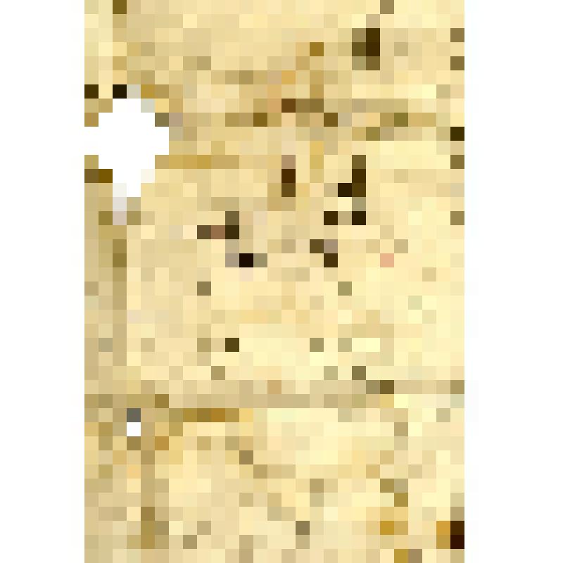 Иконный образец. Сретение