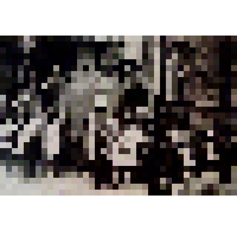 Фото. Торжественная линейка 1 сентября в гимназии №7