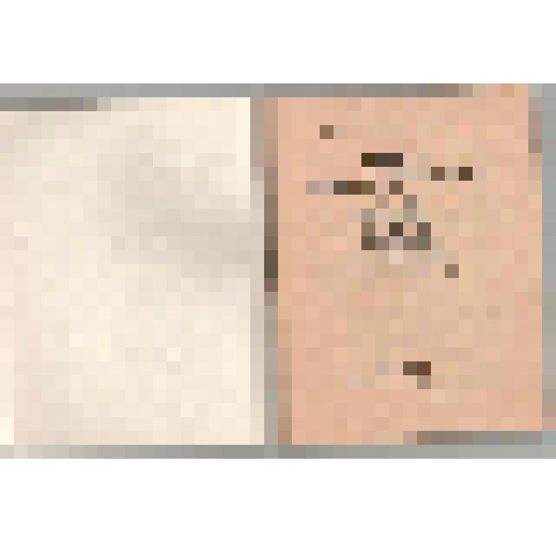 Брошюра. Устав коммунистической партии Советского Союза - г. Москва: Издательство политической литературы