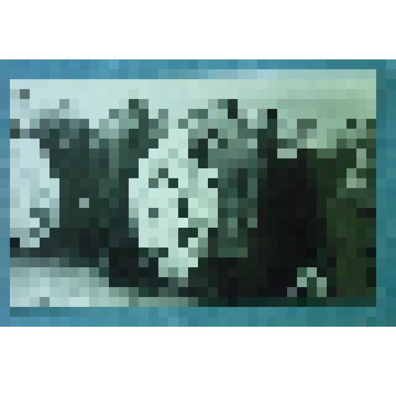 Фотография групповая