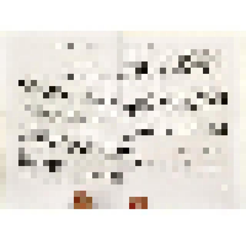 Книга. Исследователь Севера Александр Дунин-Горкавич/ сост.  Н.И. Загороднюк; науч. ред. Ю.П. Прибыльский. - М.: Изд-во "Галарт", 1995. - 192 с.; 1 л. портр.; 8 л. вкл. ил