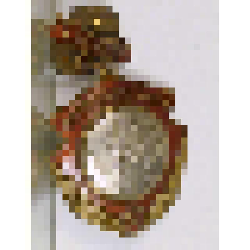 Знак нагрудный "Чемпион Калининской области"