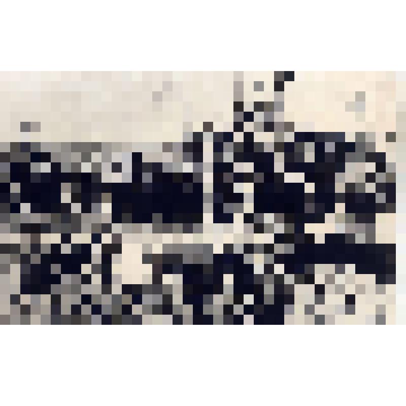 Фоторепродукция А.М. Виноградова (из гос.архива)