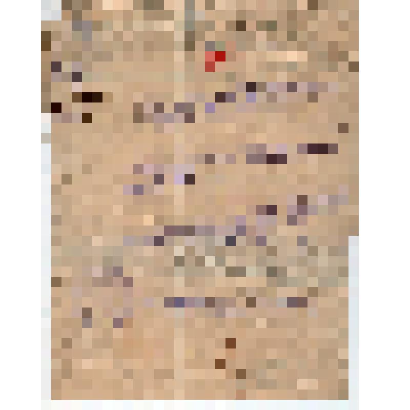 Мандат N 612 о командировке в Ташкентский уезд по проверке волостных и сельских союзов