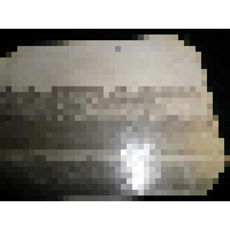 Фотография ч/б. Фотография