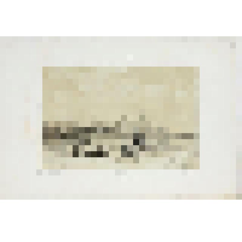 Литография. "Владимир. Вид с южной стороны."