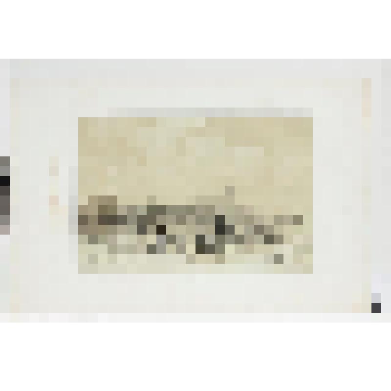 Литография. "Владимир. Вид с южной стороны."