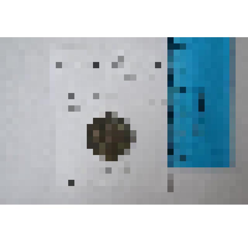 Монета SOL DINO (4 tornesi)