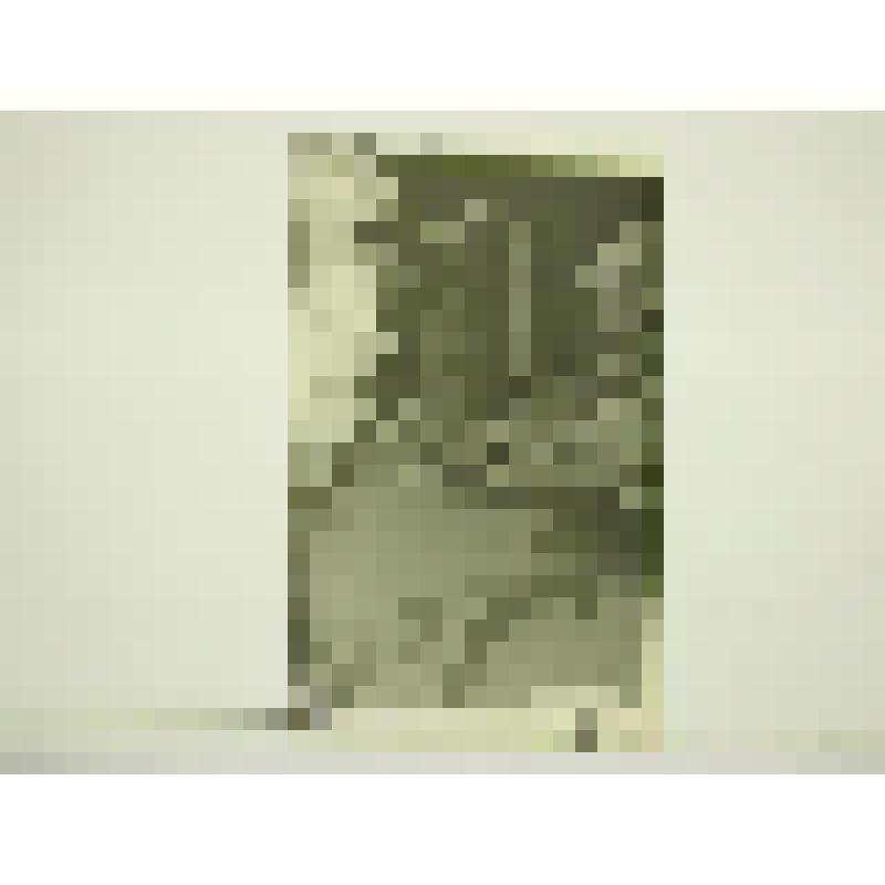 Корпус университета. Украина, г. Донецк. Корпус университета. Перспектива главного фасада