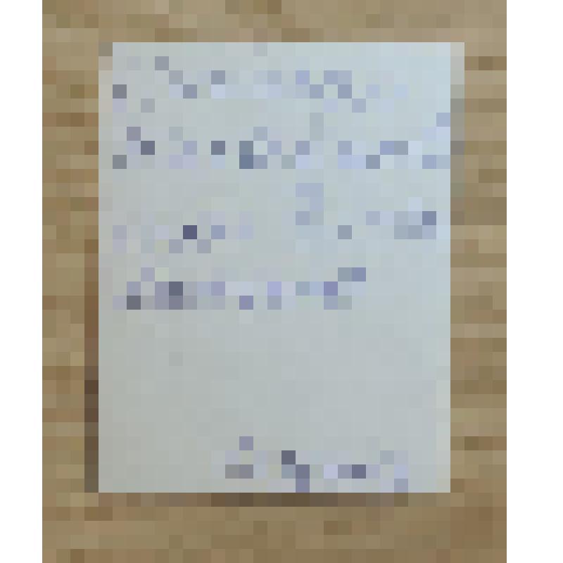 Фотография. Лисецкий Николай Михайлович, ветеран Великой Отечественной войны, участник Парада Победы