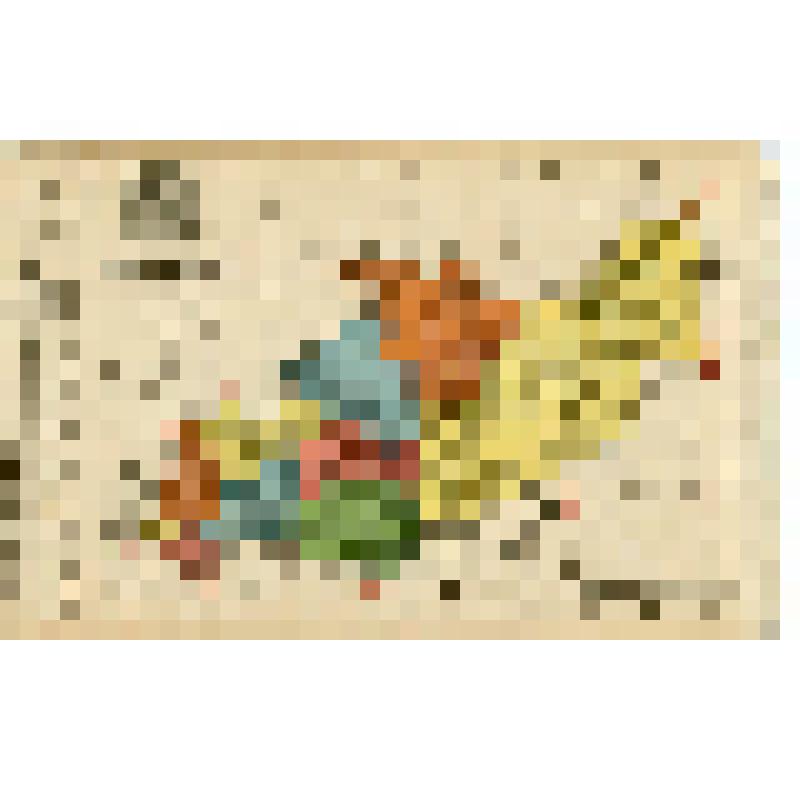 Открытка. Вологодская губерния. Карта