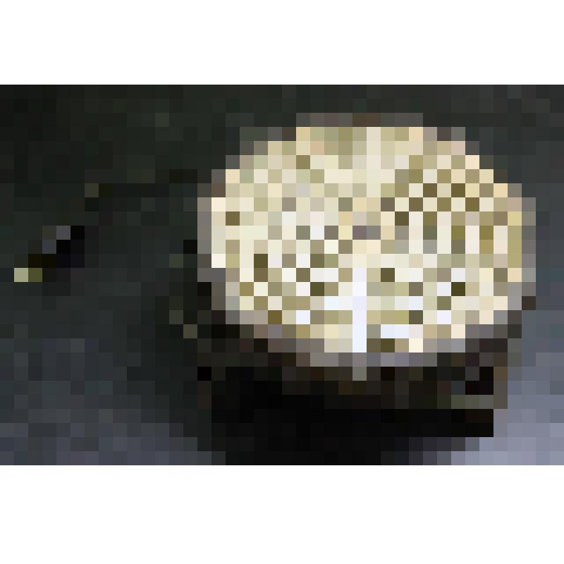 Плитка электрическая бытовая с открытым нагревательным элементом, из коллекции документальных, фотографических и вещевых материалов о Миловидовой Инне Борисовне (1929-2009), кандидате биологических наук, преподавателе биофака Саратовского государственного