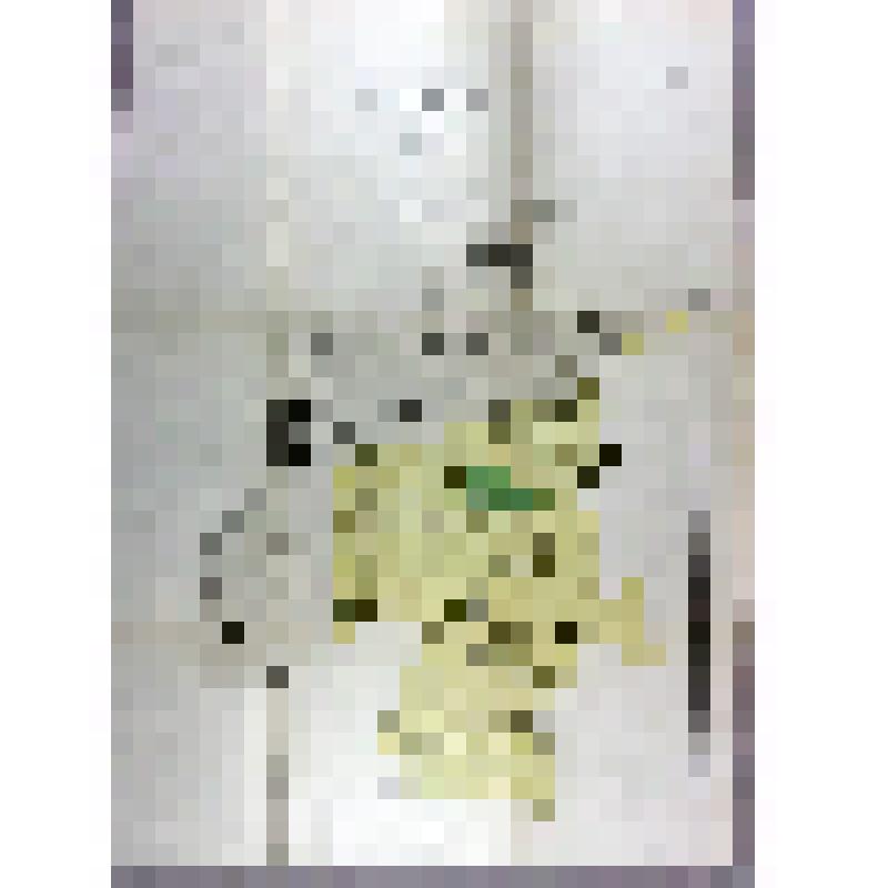 Карта гидрогеологическая. Энгельсский район