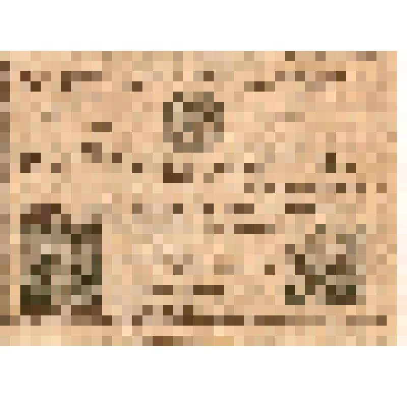 Билет денежной лотереи Комиссии по улучшению жизни детей при ВЦИК. Серия 8 № 000085