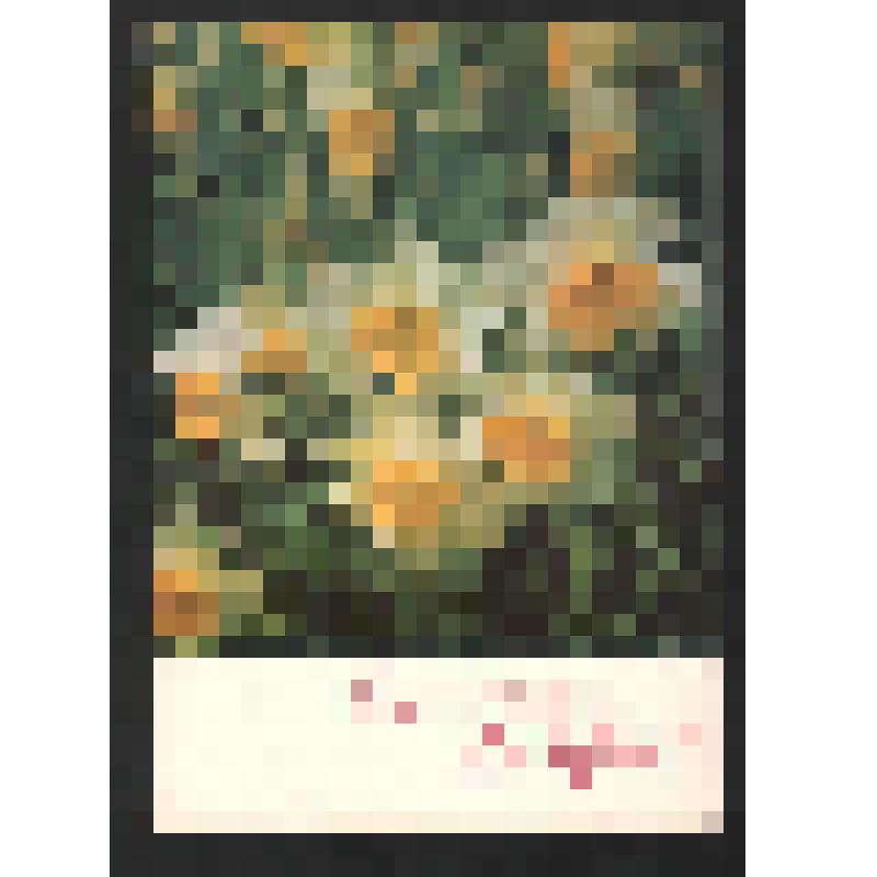 Поздравление мужчин филологического факультета [УдГУ] Богомоловой З.А. с Международным женским днем