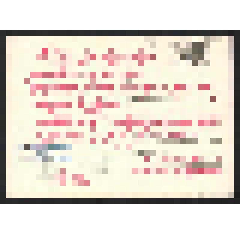 Поздравление мужчин филологического факультета [УдГУ] Богомоловой З.А. с Международным женским днем