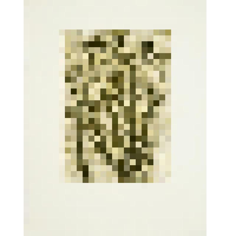 Натюрморт. Колючки. Картина