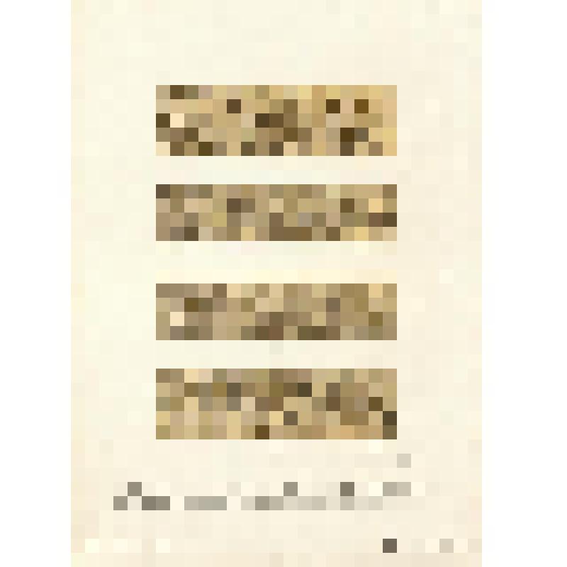 Таблица XIV. Хромолитографии № 53 - 56. Орнаменты серебряной басмы на иконах XVI и XVII вв. Из альбома «Орнаменты на памятниках Древнерусского искусства». Выпуск 1