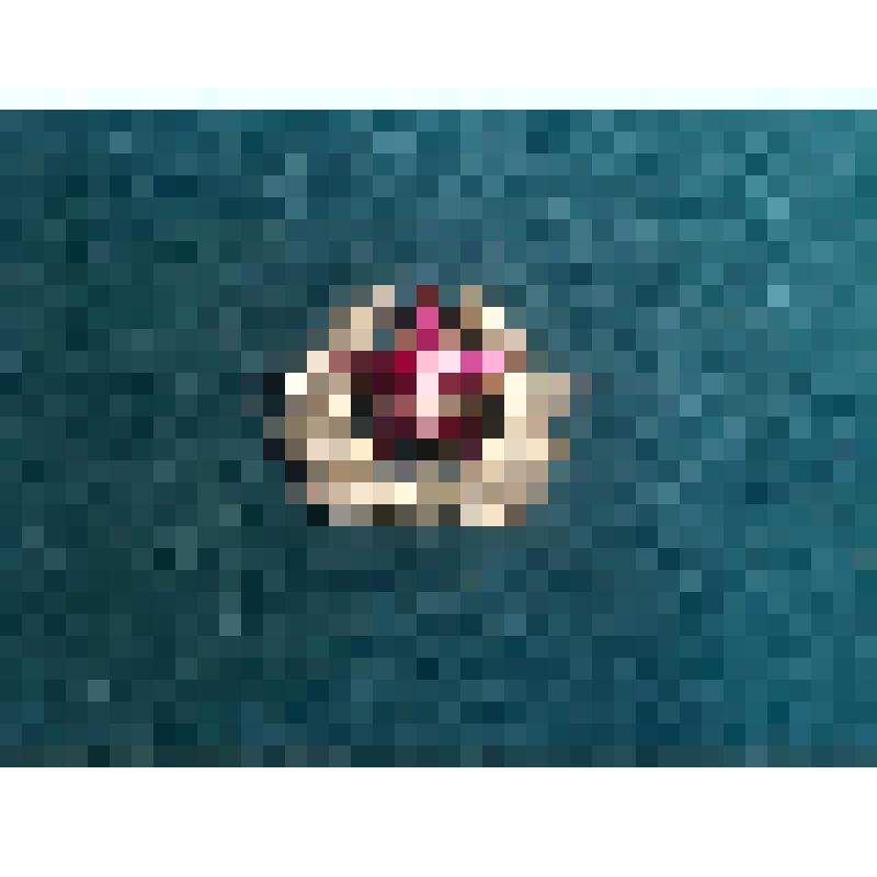 Эмблема к фуражке и фуражке-бескозырке